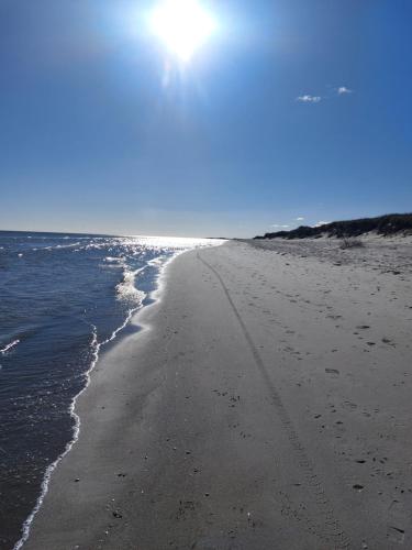 a sandy beach with the ocean on a sunny day at KRAGKAER Deer-Lodge B&B & Guest House - Unique Holiday Homes in Sæby