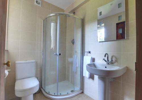 a bathroom with a shower and a toilet and a sink at Hawkridge Oast in Sissinghurst