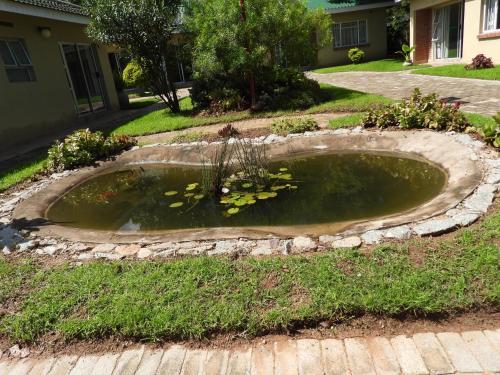 a pond in the middle of a yard at 2 bedroomed apartment with en-suite and kitchenette - 2065 in Harare