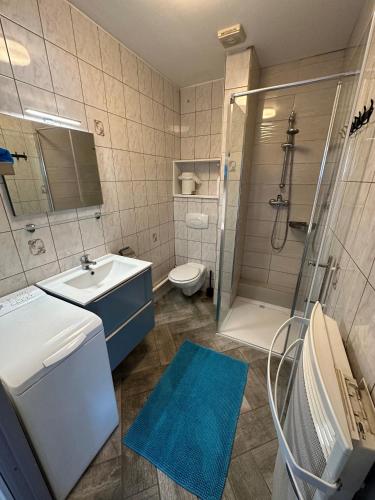 une salle de bain avec une douche, un lavabo et des toilettes dans l'établissement Appart Maurienne, à Saint-Jean-de-Maurienne