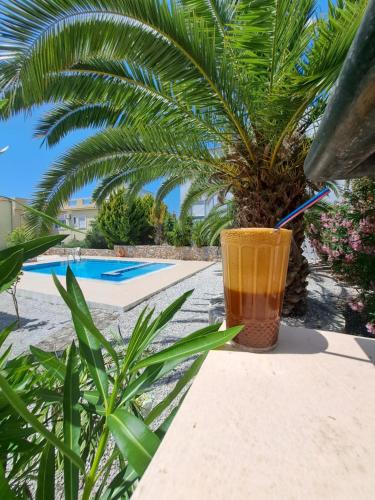 a drink sitting on a table next to a pool at Palm Tree Villa in Almirida