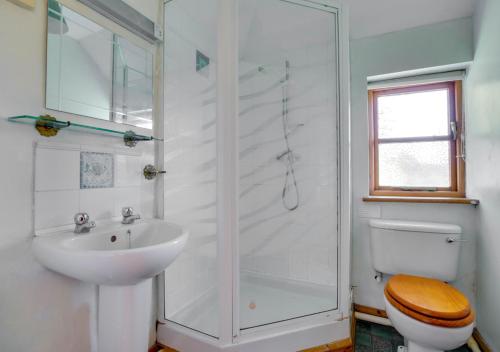 a bathroom with a shower and a sink and a toilet at Orchard Cottage in Sutton Valence