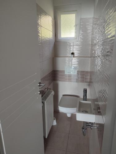 a white bathroom with a sink and a toilet at Dorka Villa in Tihany