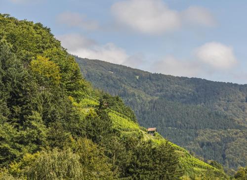 a mountain with a house on the side of it at Hotel-Gasthaus Goldener Engel in Glottertal