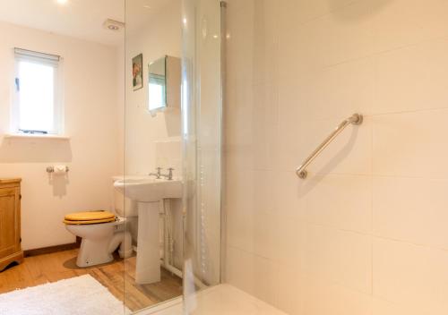 een badkamer met een douche, een toilet en een wastafel bij The Bothy in Biddenden