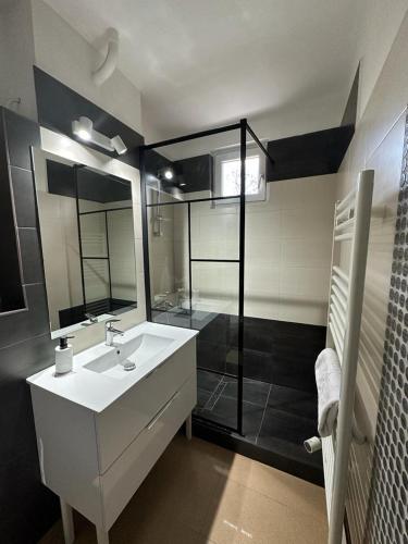 a bathroom with a sink and a shower at Vidalis Suite in Cluj-Napoca