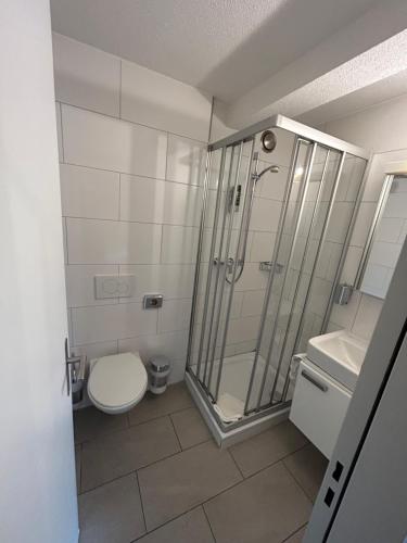 ein Bad mit einer Dusche, einem WC und einem Waschbecken in der Unterkunft Gasthaus 210 in Zürich