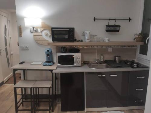 cocina con encimera con fregadero y microondas en Studio Le pigeonnier en Tallard