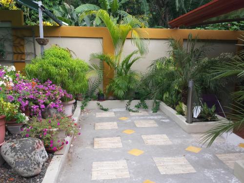 a garden with plants and flowers on a sidewalk at Coyaba Tropical Elegant Adult Guesthouse in Manuel Antonio