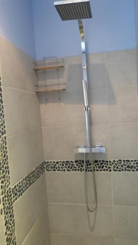 a shower with a shower head in a bathroom at La Prairie in Noyers-sur-Jabron
