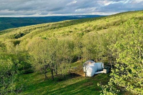 Příroda nedaleko luxury tent