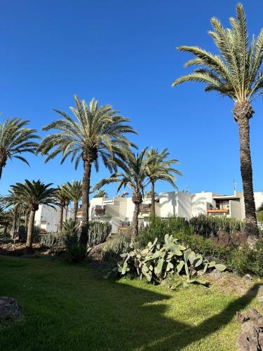 Pool view apartment Primavera