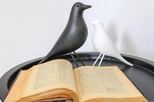 two birds and an open book on a table at Aerno Home & Azul Ηοme - Ahilli Slow Living in Kamari