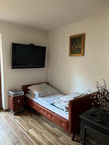 コシチェリスコにあるApartament Kościeliskoのベッドルーム(小型ベッド1台、薄型テレビ付)