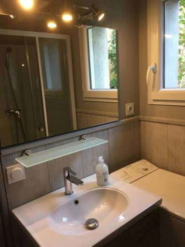 une salle de bain avec un lavabo et un miroir dans l'établissement Appartement avec jardin privé Gréoux les Bains au bord du Verdon, à Gréoux-les-Bains