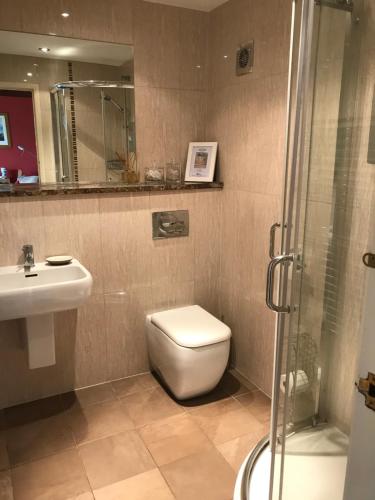 a bathroom with a toilet and a sink and a shower at Birslack Grange in Kendal