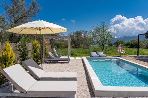 a swimming pool with an umbrella and lounge chairs and a swimming poolvisor at Villa Kalligoni in Kalligónion