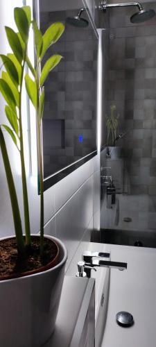 a bathroom with a potted plant sitting on a counter at Apartment Denis in Krk