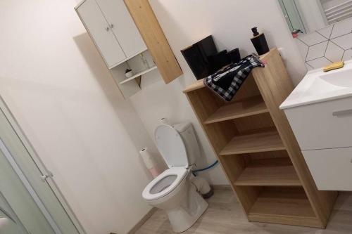 La petite salle de bains est pourvue de toilettes et d'un lavabo. dans l'établissement POLIGNY : appartement refait à neuf !, à Poligny