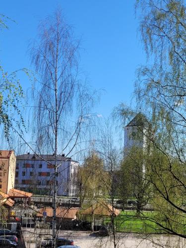 a group of buildings and trees in a city at City apartment in Jelgava