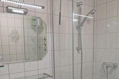 baño con ducha y puerta de cristal en Ferienwohnungen Kern, en Aschau im Chiemgau