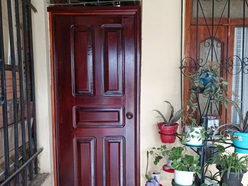 Apartamento Profe Rios في ليتيسيا: باب احمر فيه نباتات خزف امامه