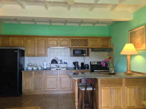 a kitchen with wooden cabinets and a black refrigerator at Villa Touloulou in English Harbour Town