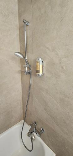 La salle de bains est pourvue d'une douche avec un tuyau au-dessus d'un lavabo. dans l'établissement The River Village, à Interlaken