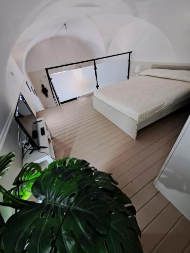 Un dormitorio con una cama y una planta. en Privitera Home, en Catania