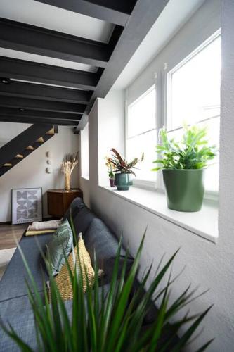 a living room with a couch and two windows at Apartment in Weinstadt-Schnait in Weinstadt