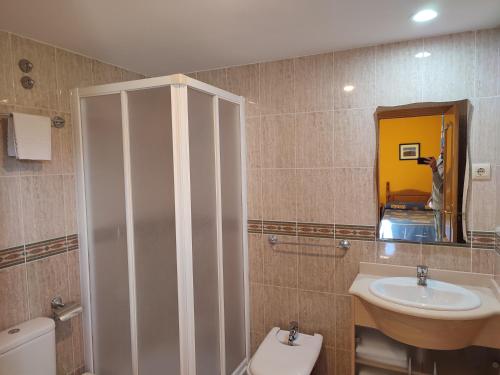 a bathroom with a sink and a toilet and a mirror at Apartamentos Casa Modesto in Escalona