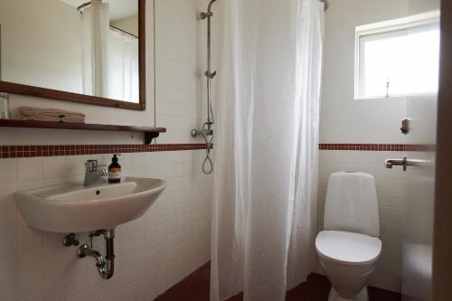 a bathroom with a sink and a toilet and a shower at Solheimar Eco-Village Guesthouse in Sólheimar