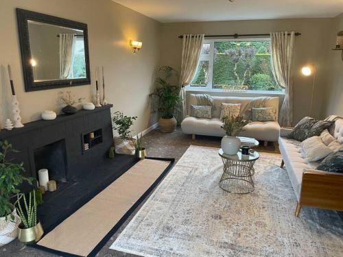 uma sala de estar com um sofá e uma lareira em The Menapian House Enniskillen em Killyhevlin