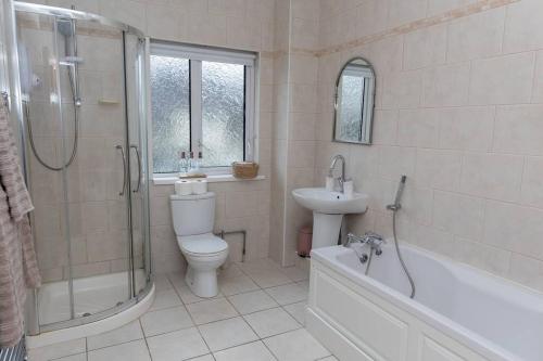 uma casa de banho com um WC, um lavatório e um chuveiro em The Menapian House Enniskillen em Killyhevlin
