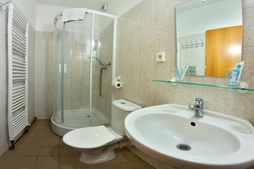 łazienka z umywalką, toaletą i prysznicem w obiekcie Hotel pod Šikmou Věží w Jiczynie