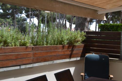 Vonkajšia záhrada v ubytovaní Cosy apartamento en Sagaró, Costa Brava