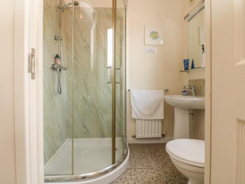 uma casa de banho com um chuveiro, um WC e um lavatório. em Ocean Terrace 1 em Ilfracombe