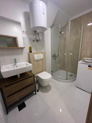 e bagno con servizi igienici, lavandino e doccia. di Guest House Černe a Vrhnika (Nauporto)