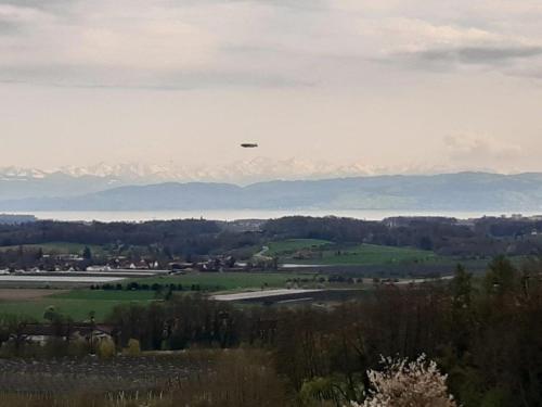 Eine Frisbee fliegt über ein Feld in der Unterkunft Ferienzentrum Bodensee in Oberteuringen