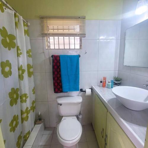 Łazienka z białą toaletą i umywalką w obiekcie Petti Rosa Villa w mieście Gros Islet