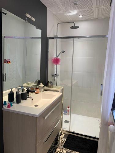 une salle de bain avec un lavabo et une douche dans l'établissement Maison de ville, à Bort-les-Orgues