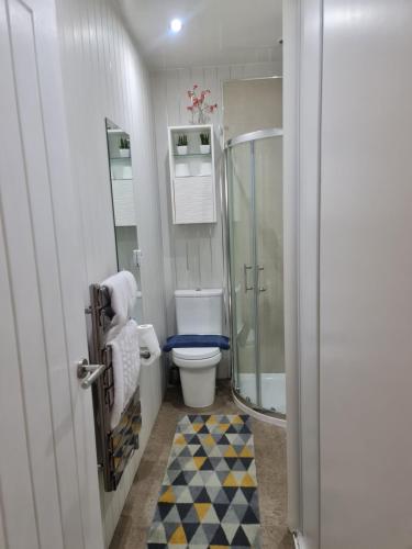 y baño con aseo y ducha acristalada. en Charming one bed free parking Aberdeen en Aberdeen