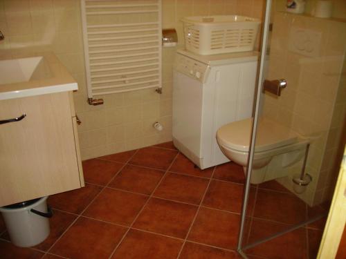 un piccolo bagno con servizi igienici e lavandino di Vakantiewoning 't Veurhuus a Bergentheim