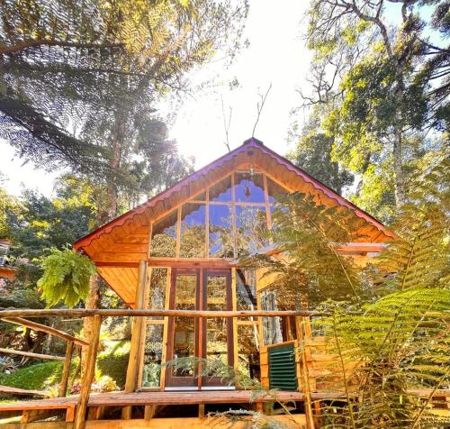 a cabin in the woods with a large window at Chalé Samambaia in Campos do Jordão