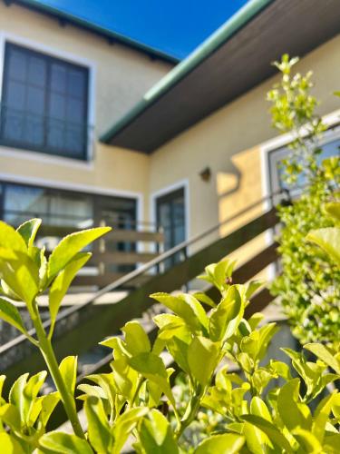 Gallery image of Mediterrane Ferien Villa am Neusiedler See in Gols