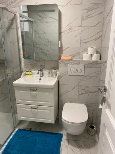 ein Badezimmer mit einem WC, einem Waschbecken und einem Spiegel in der Unterkunft Apartma Sunrise Piran in Piran