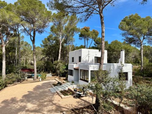 ein weißes Haus inmitten von Bäumen in der Unterkunft Spacious & Luxury villa in centre Ibiza in Santa Gertrudis