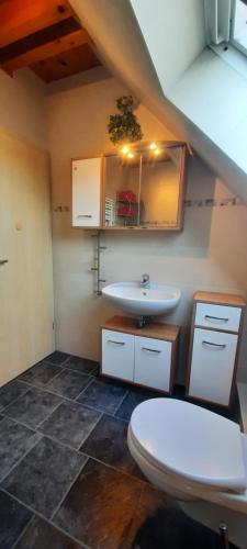 a bathroom with a white toilet and a sink at Ferienhaus-Bodden in Saal