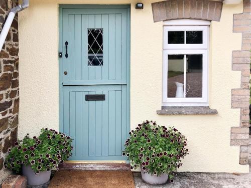 Wildwood Cottage في Germansweek: الباب الأزرق على منزل مع اثنين من النباتات الفخارية