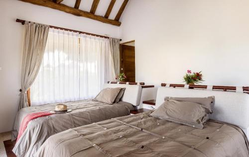 a bedroom with two beds and a window at DK Luxury Ocean Front Villa - Adults Only in Holbox Island